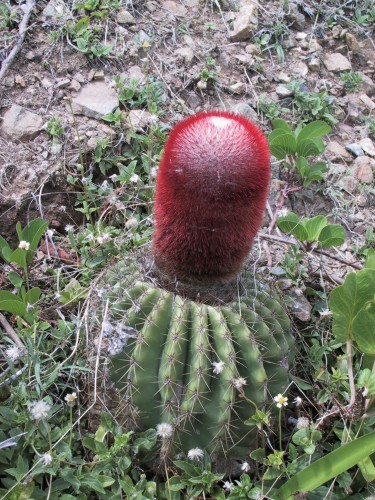 img00000.jpg