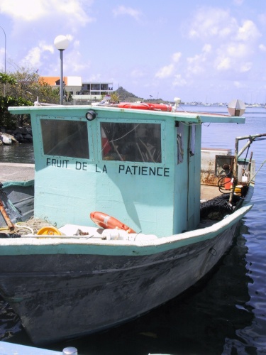 img00025.jpg