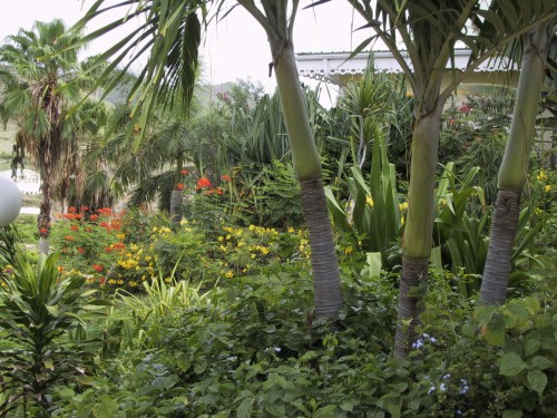 img00055.jpg